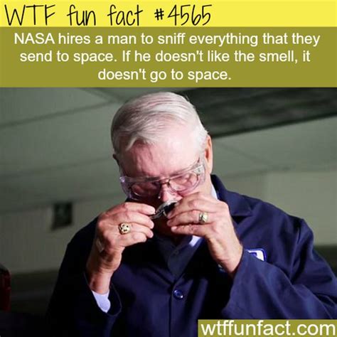 weird wtf facts|40 WTF Facts So Freaky You'll Wish You Hadn't Seen Them.